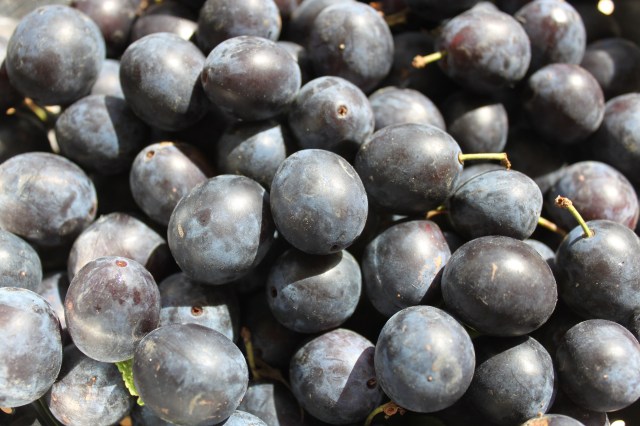 Damsons