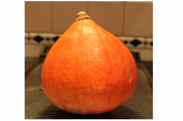 Onion Squash