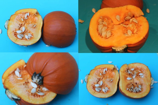 Pumpkin Collage