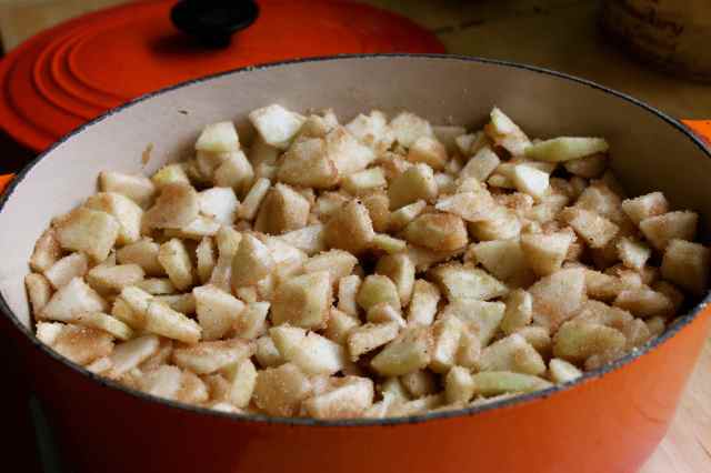 Apples with sugar and spices in pan