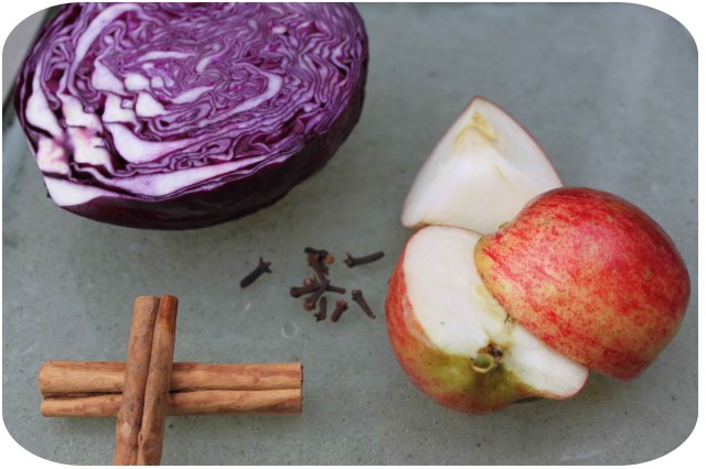 red cabbage and apple
