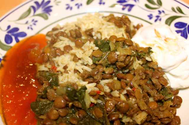 Spinach dal, yogurt and mango chutney, close up