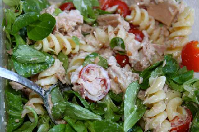 Tuna salad close up