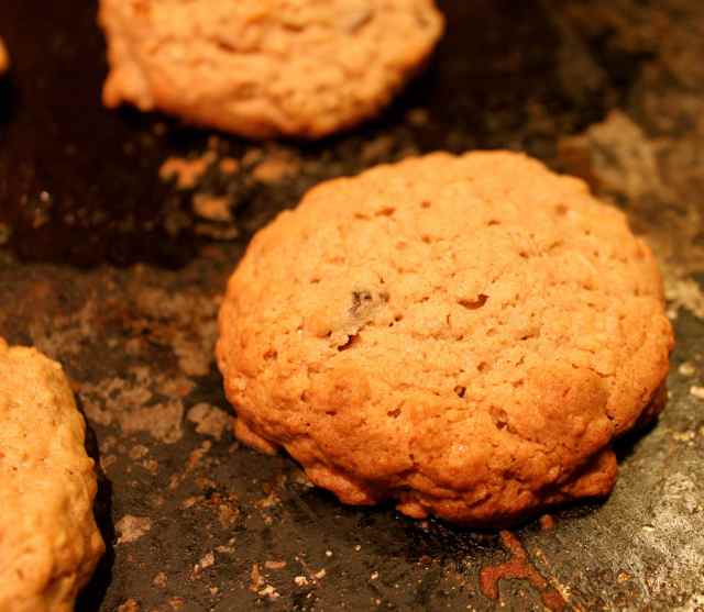 baked cookie close up