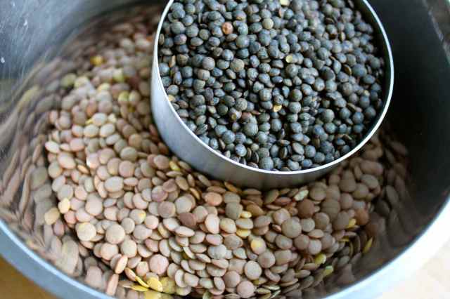 Green and puy lentils