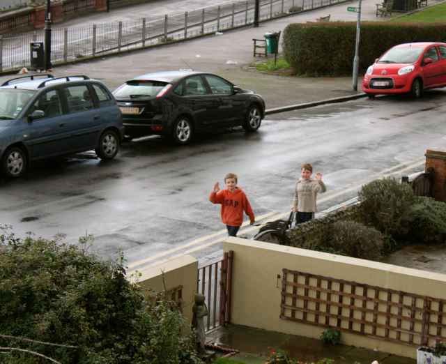 H and L walking dogs