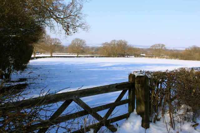 Country gate and snowy fields