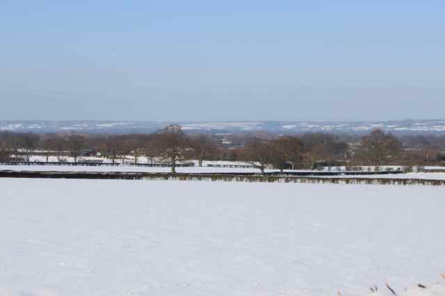 Snowy fields near Smarden