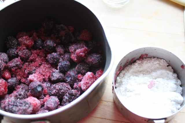 Mixed berries and icing sugar