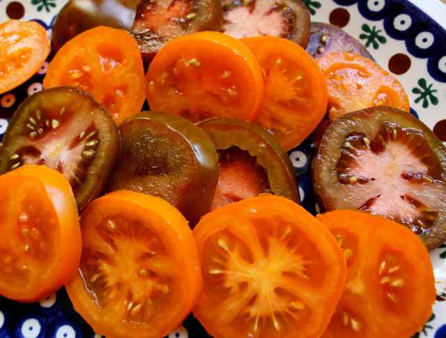 orange and brown tomatoes