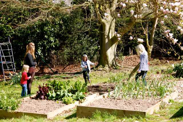 Sweet hunt in the garden