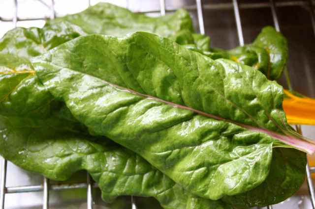 Green leaves on draining board