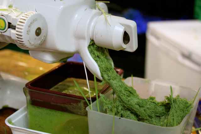 wheatgrass juicer