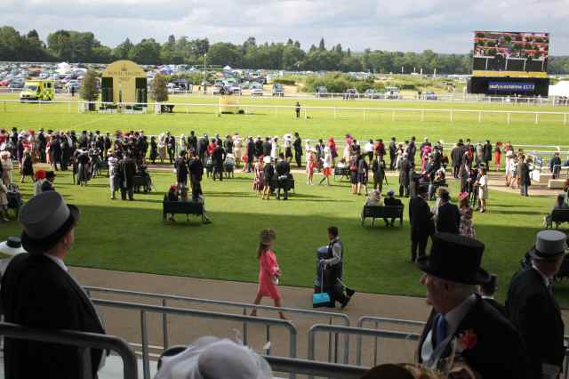 PLenty of space in the Royal Enclosure