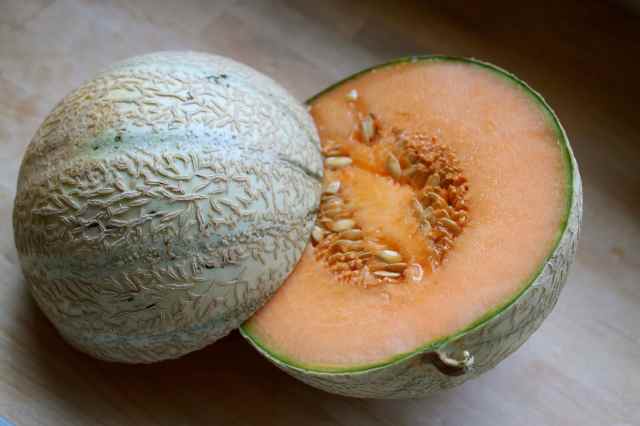 melon