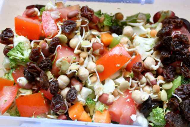 raisins and sprouted seeds