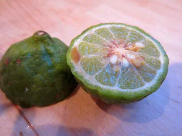 Kaffir lime