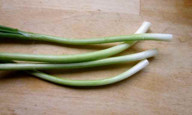 My spring onions