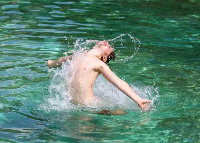 Harvey in Venetian Pool