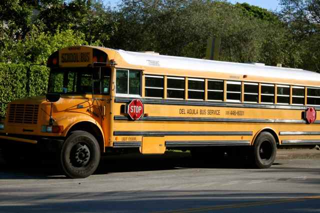 School Bus