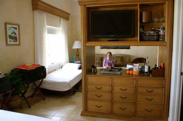 view from Biltmore bed