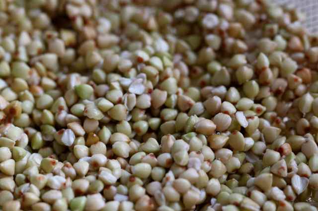 buckwheat groats soaked