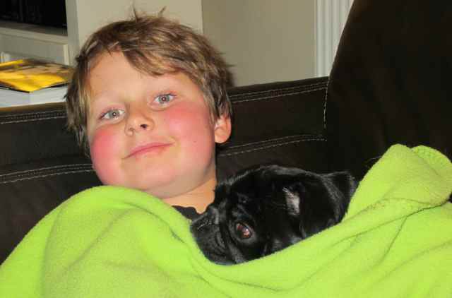 H and B under green blanket