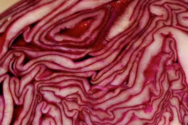red cabbage
