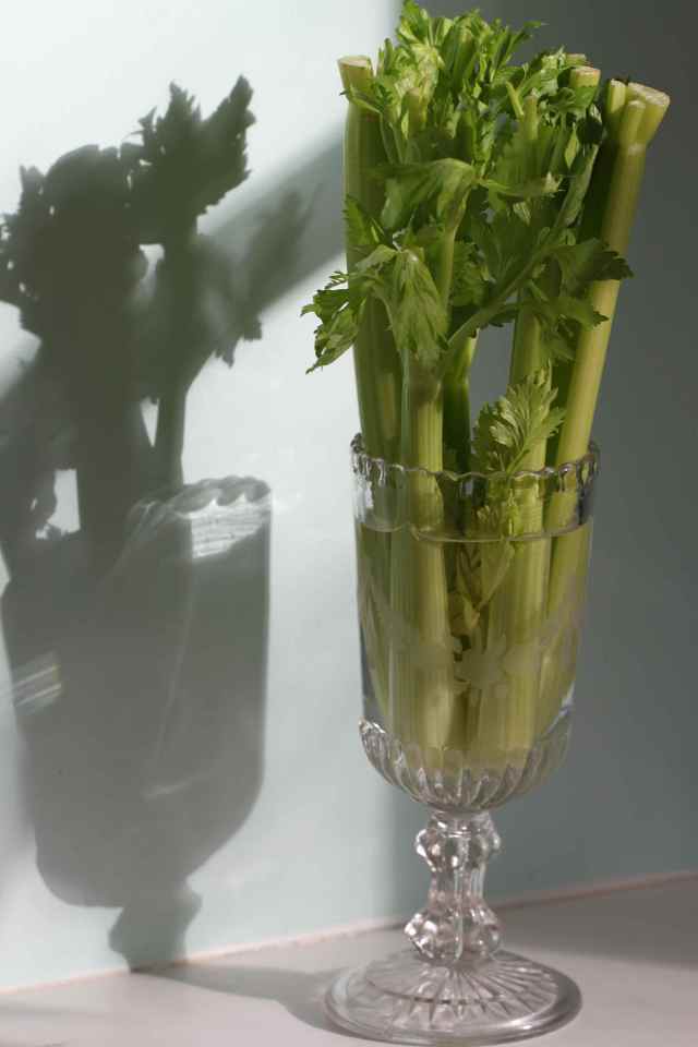 celery in glass 1