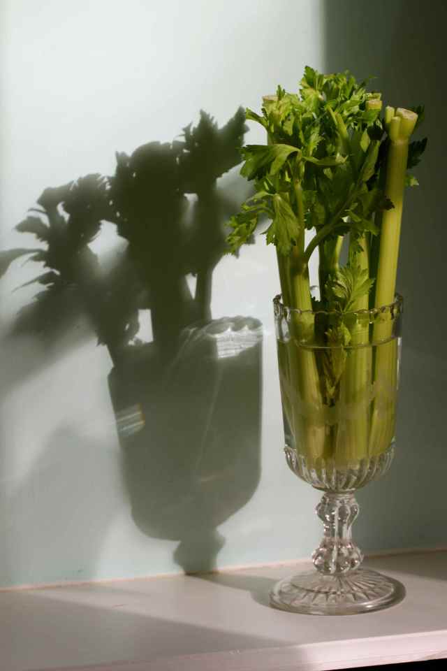 celery in glass 2