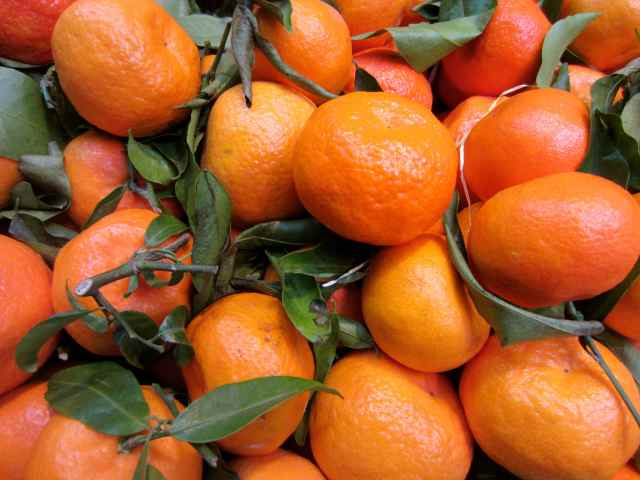 Clementines in Borough