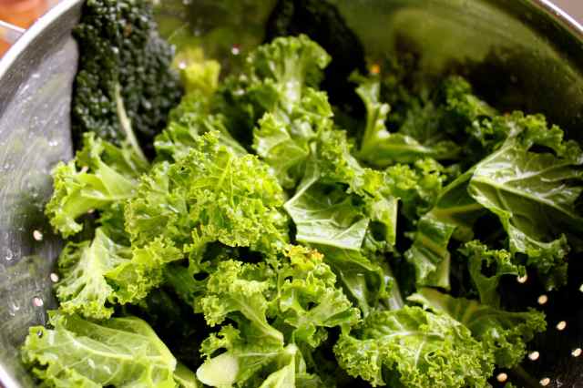 curly kale and cavolo nero