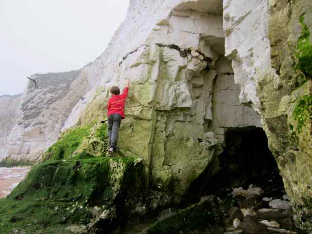 Harvey on chalk cliffs