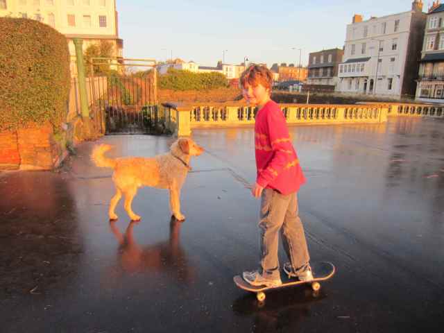 Harvey skateboarding 3