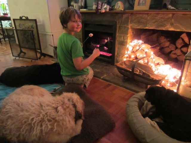 Toasting marshmallows