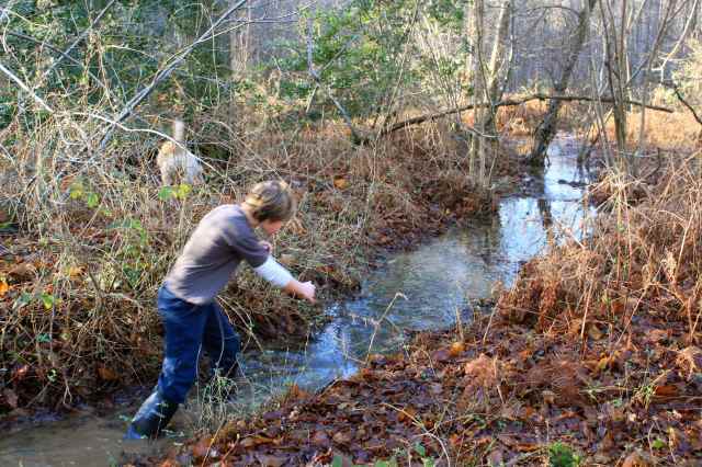 wading in stream