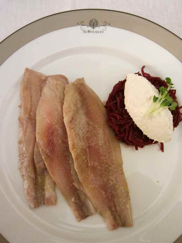Wolseley herring