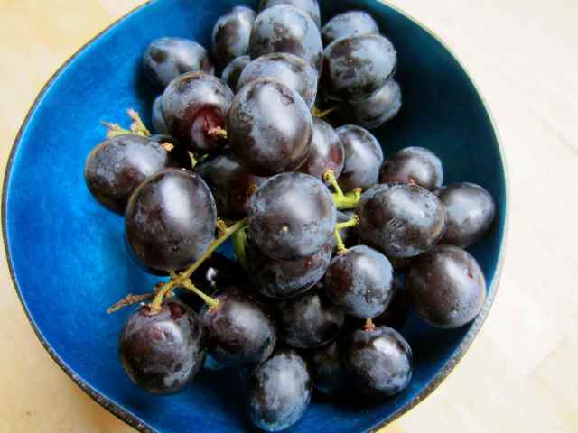 Black grapes in blue bowl