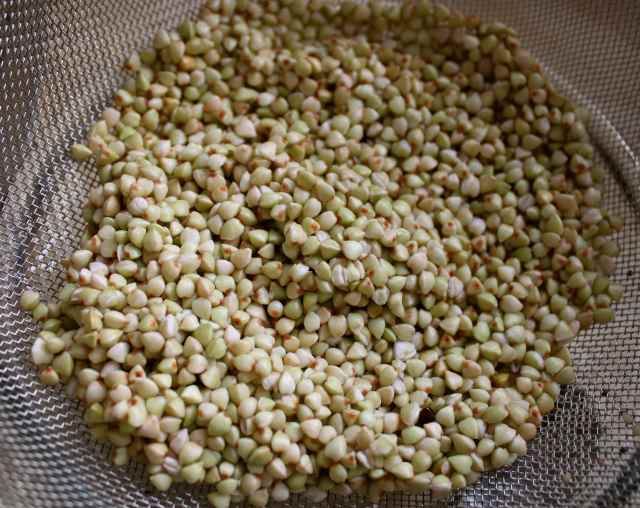 buckwheat in seive