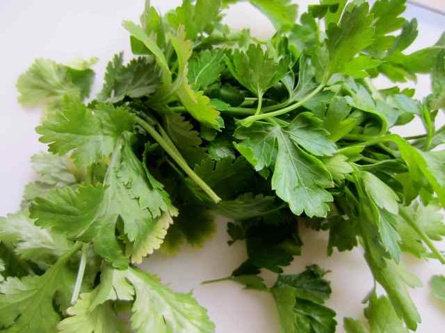 parsley and coriander