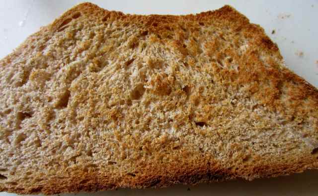 Wholemeal toast