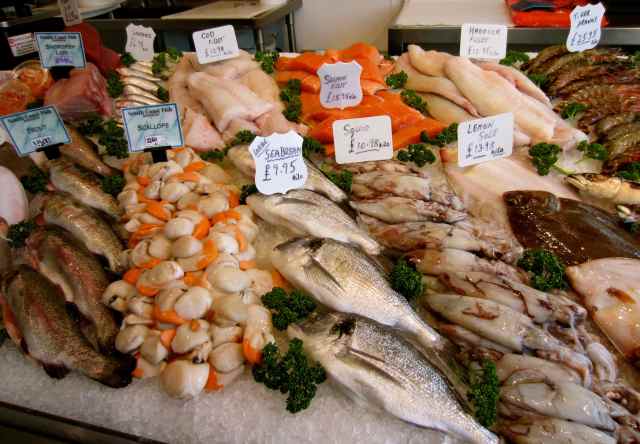 Fish Display 1
