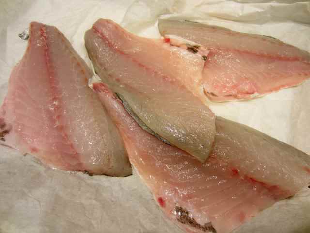 Sea Bream fillets