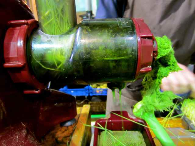 wheatgrass juicer 2