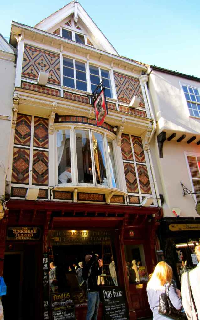 Yorkshire Terrier pub