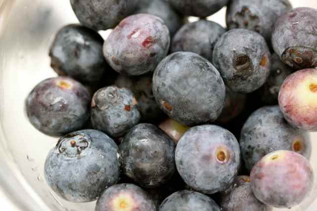close up blueberries