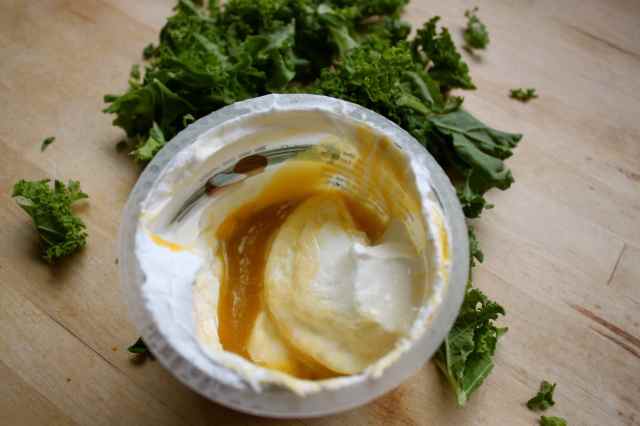 Co Yo and mango puree