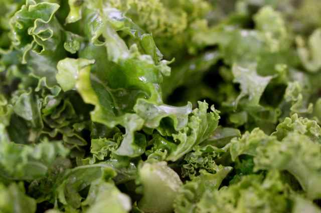 kale cooking