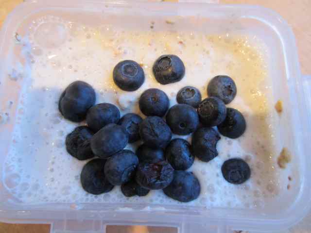 Soaked oats with blueberries