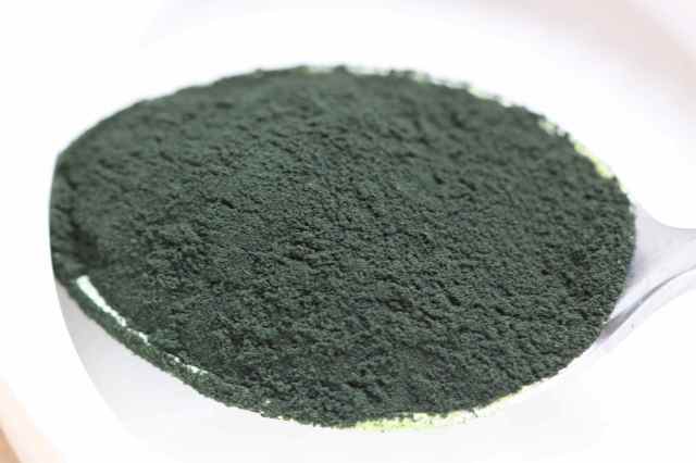 spirulina